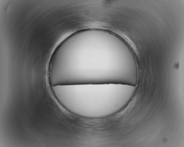 X0000103161285200808221143