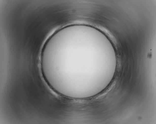 X0000103161286200808221143