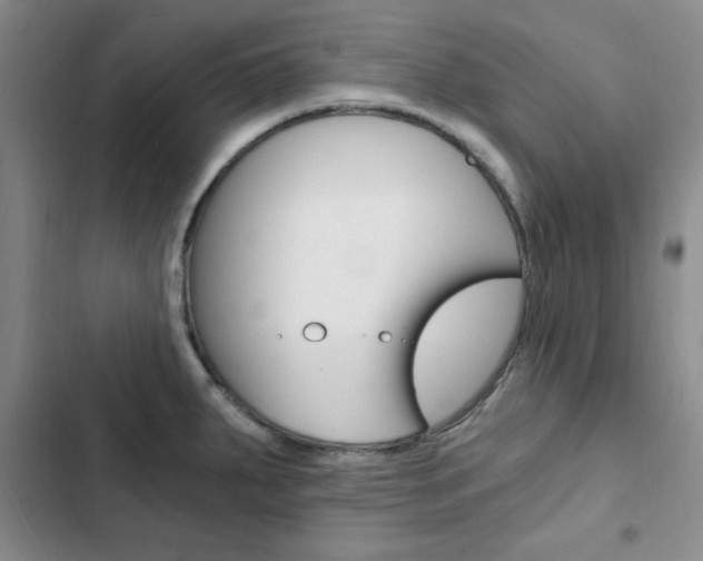 X0000103161287200808221143