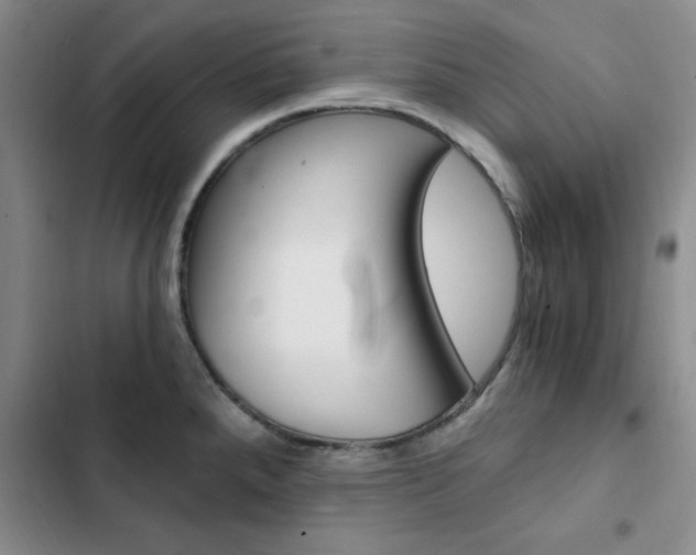 X0000103161288200808221143