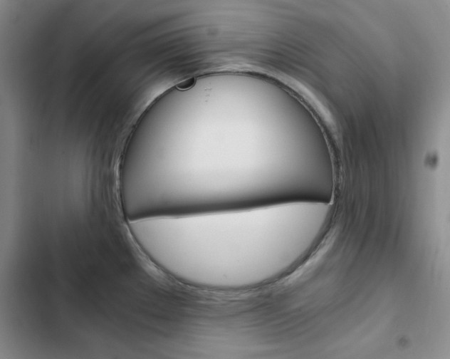 X0000103161289200808221143
