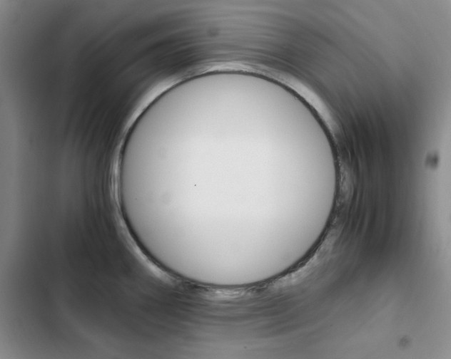 X0000103161290200808221143
