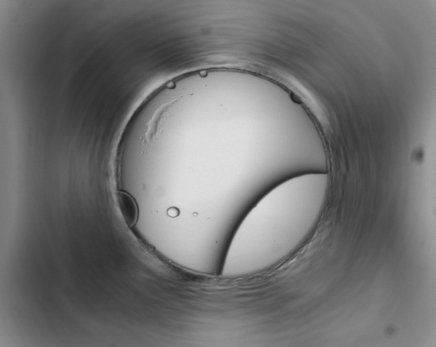 X0000103161291200808221143