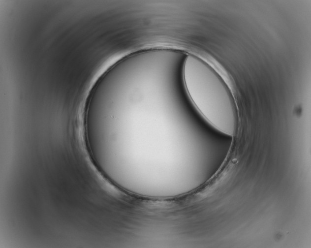 X0000103161293200808221143