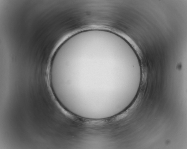 X0000103161294200808221143
