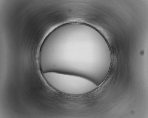 X0000103161295200808221143