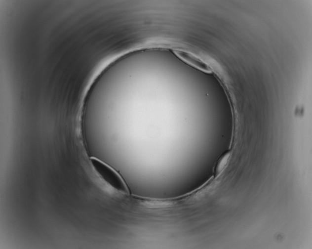 X0000103161296200808221143