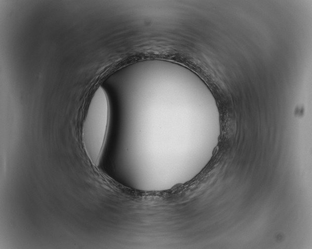 X0000103161297200808221142