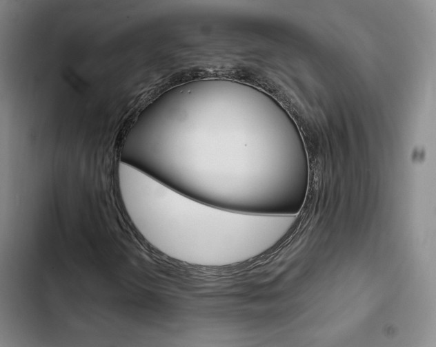 X0000103161298200808221142