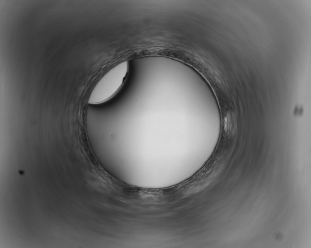 X0000103161299200808221142