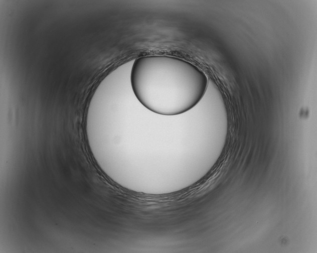 X0000103161300200808221142