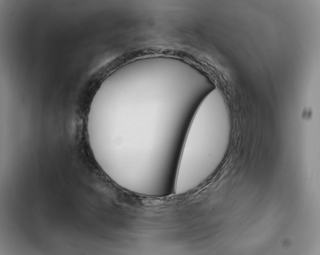 X0000103161302200808221142