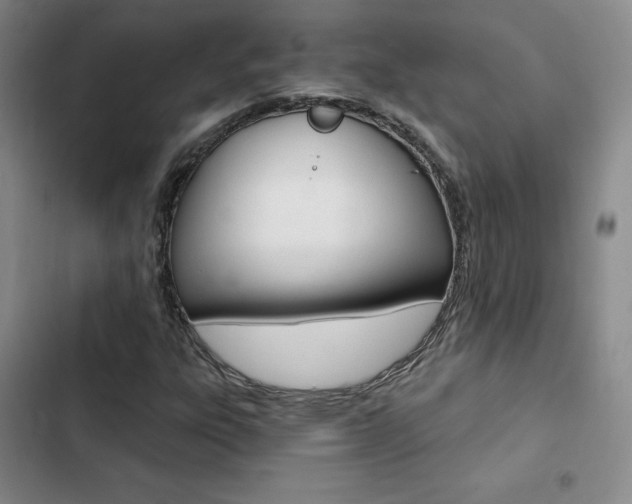 X0000103161303200808221142