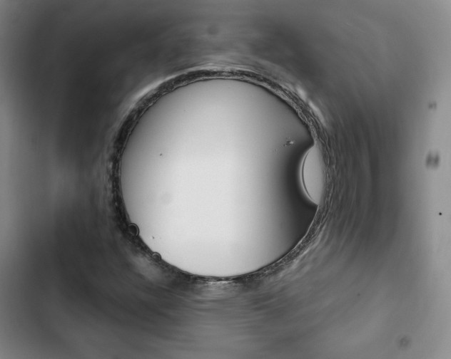X0000103161304200808221142