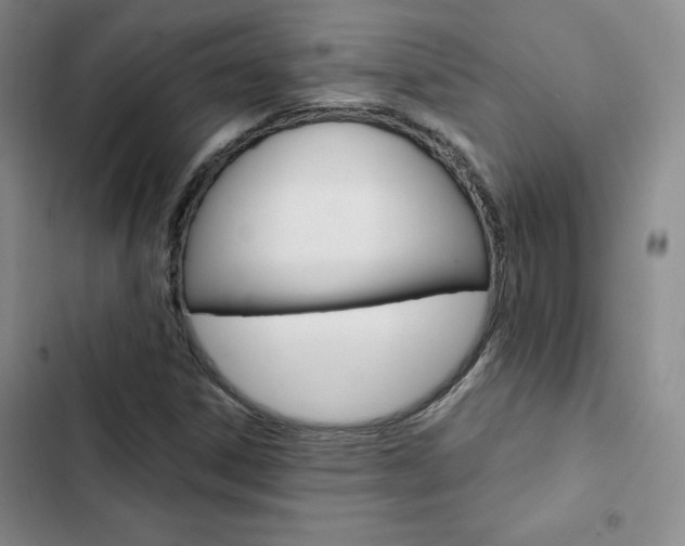 X0000103161306200808221142