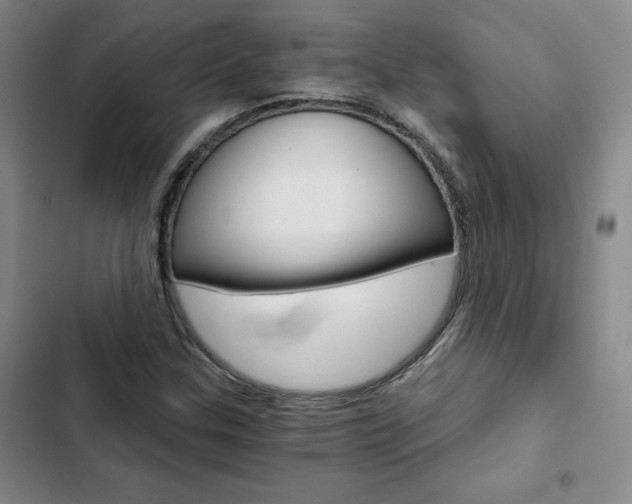 X0000103161307200808221142