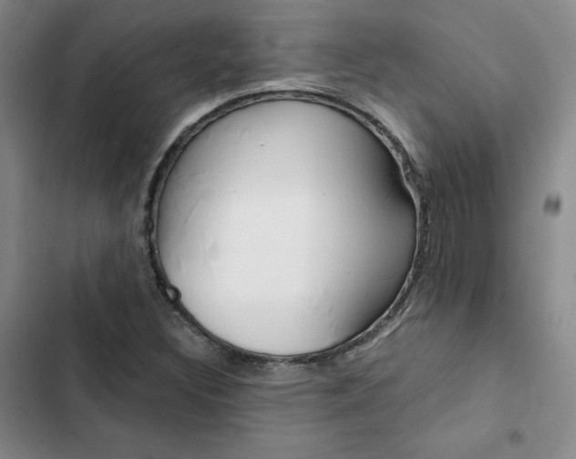 X0000103161308200808221142