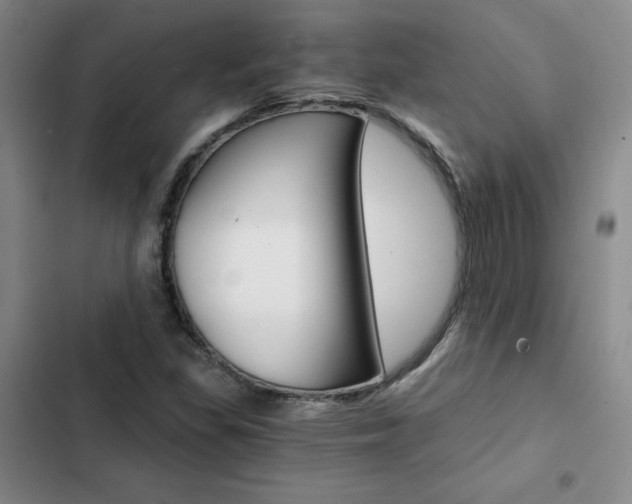 X0000103161309200808221142