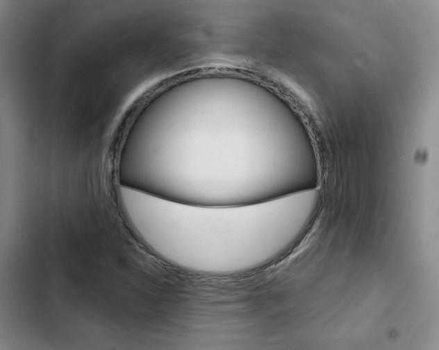 X0000103161310200808221142