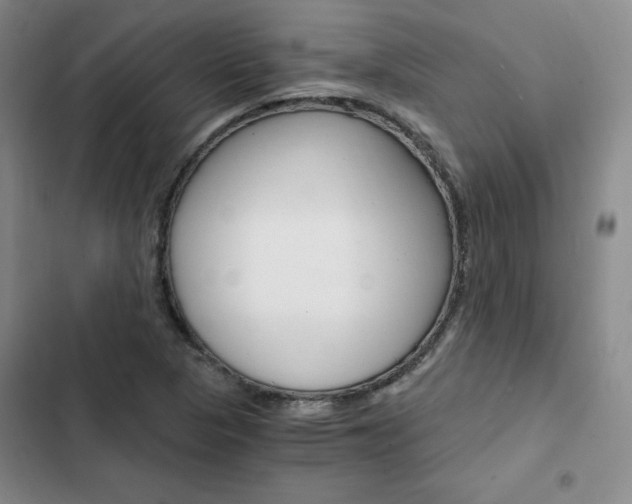 X0000103161313200808221142