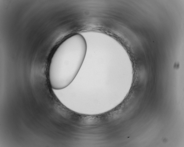 X0000103161314200808221142