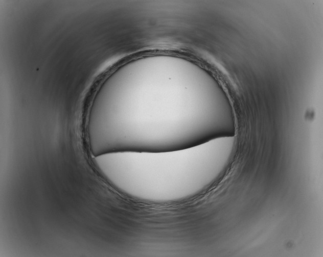 X0000103161315200808221142