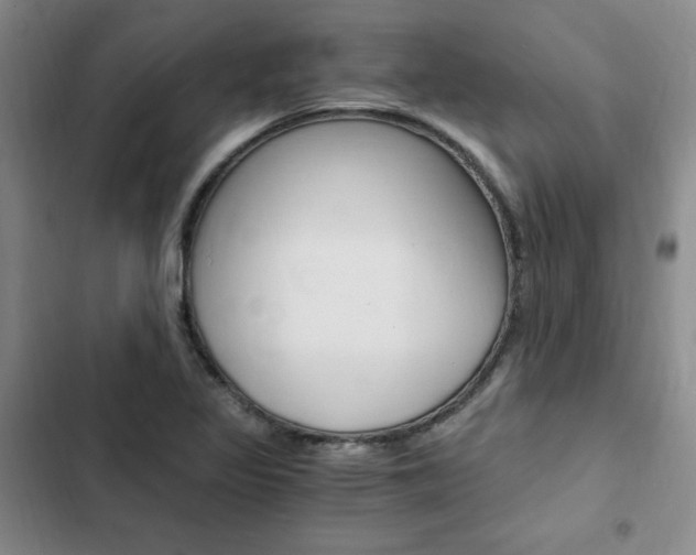 X0000103161317200808221142