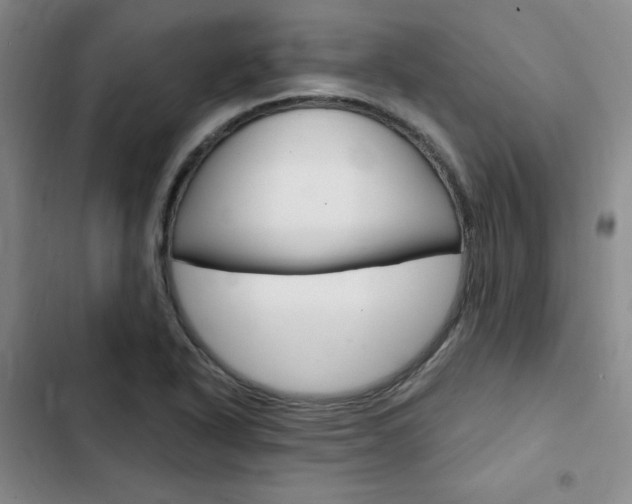X0000103161318200808221142