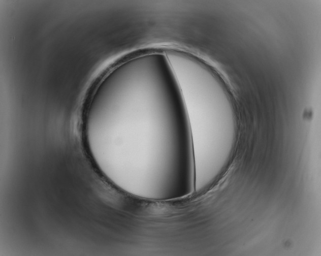 X0000103161319200808221142