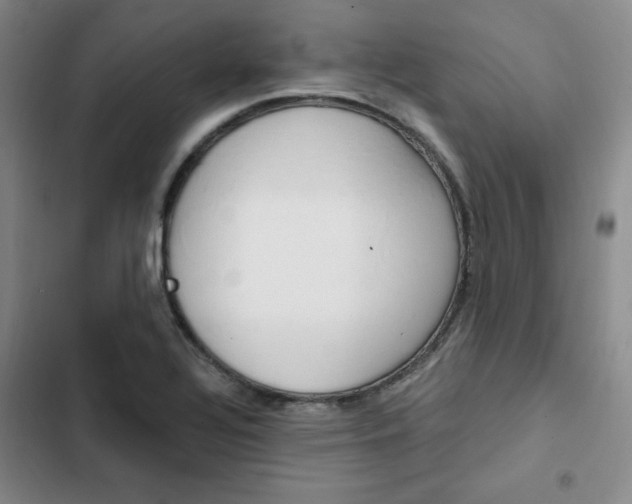 X0000103161320200808221142
