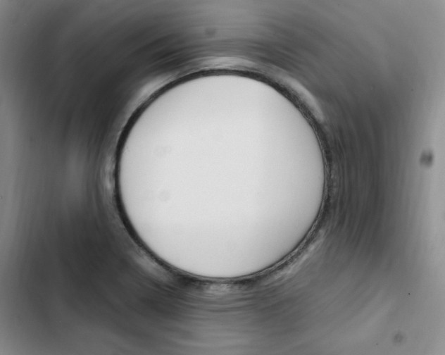 X0000103161322200808221142