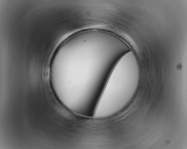 X0000103161324200808221142