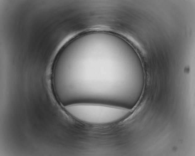 X0000103161325200808221142