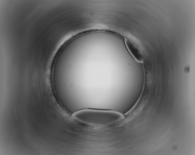X0000103161326200808221142