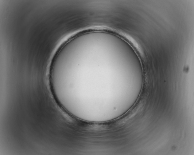 X0000103161327200808221142
