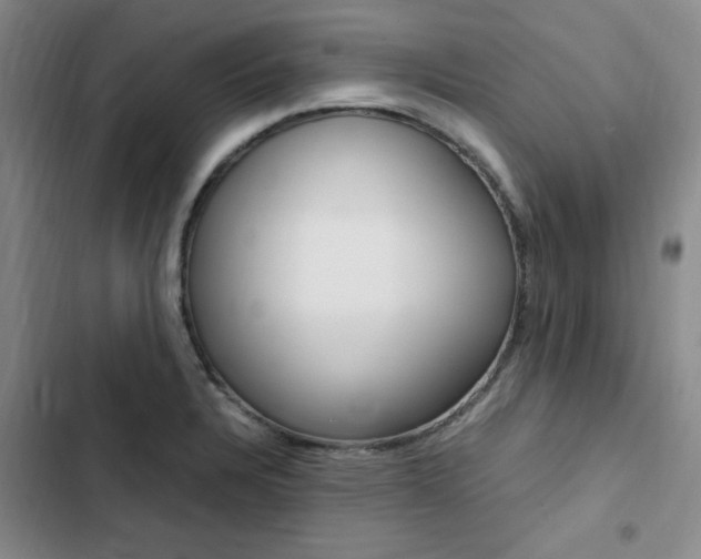 X0000103161328200808221142