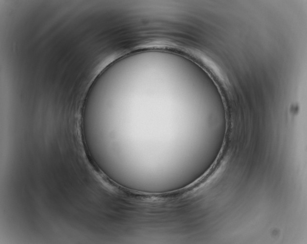 X0000103161329200808221143