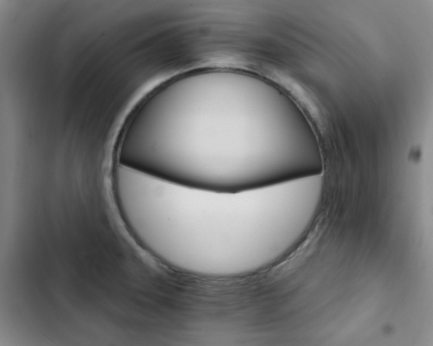 X0000103161331200808221143
