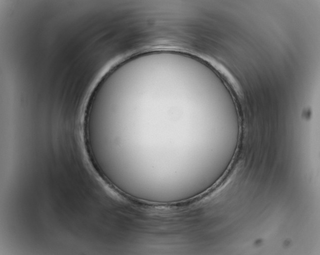 X0000103161333200808221143