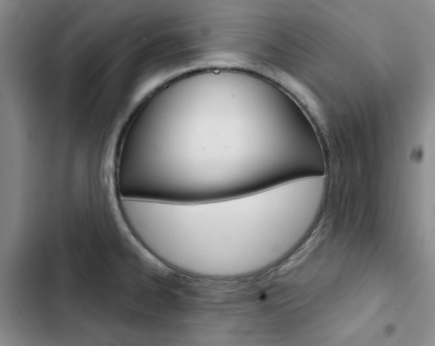 X0000103161334200808221143