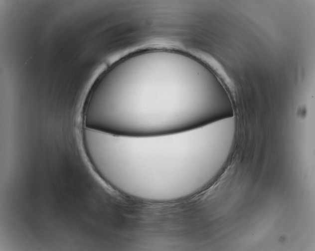 X0000103161335200808221143