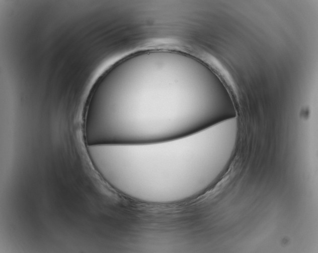 X0000103161336200808221143
