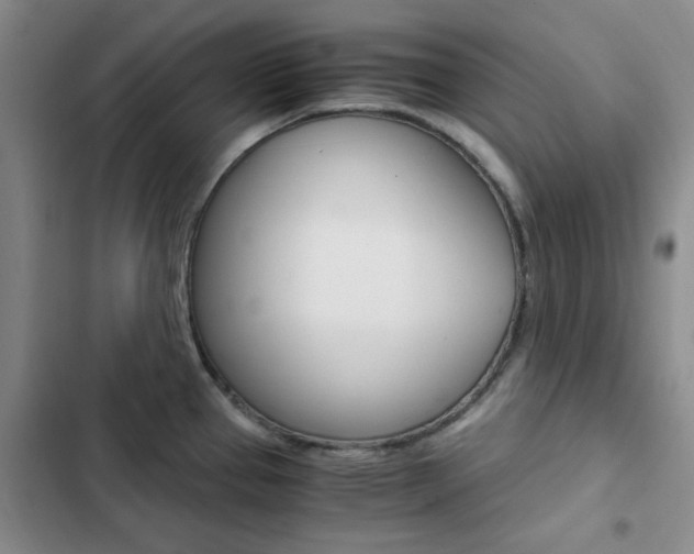 X0000103161337200808221143