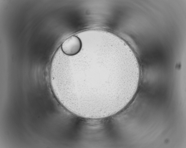 X0000103161338200808221143