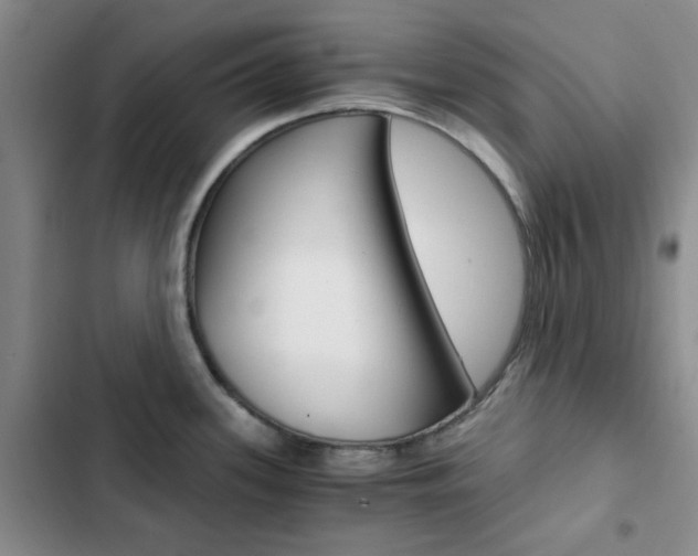 X0000103161339200808221143