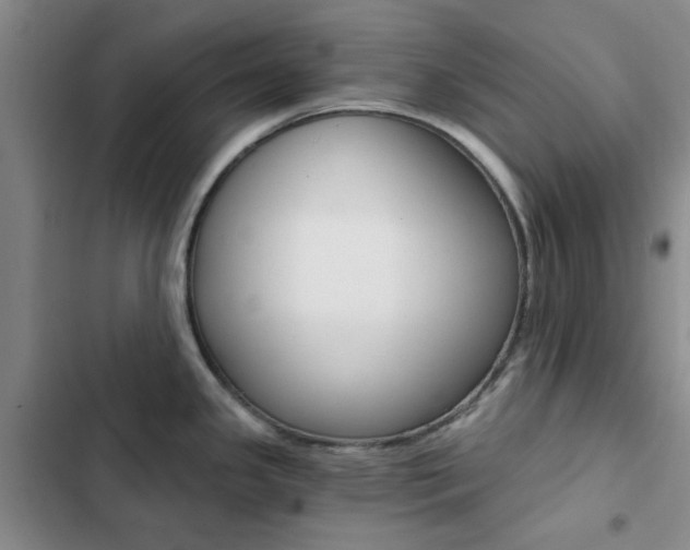 X0000103161341200808221143