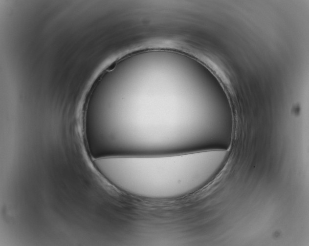 X0000103161342200808221143