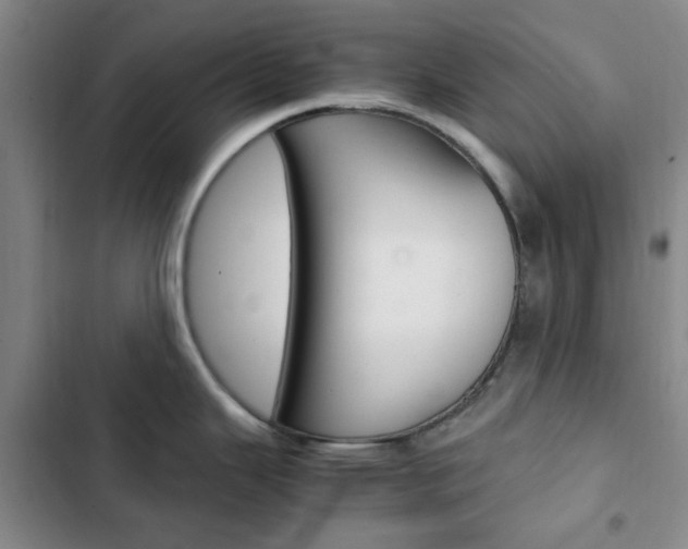 X0000103161343200808221143