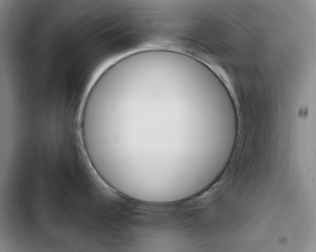 X0000103161344200808221143