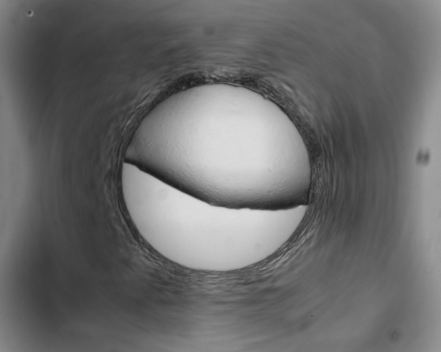 X0000103161345200808221142